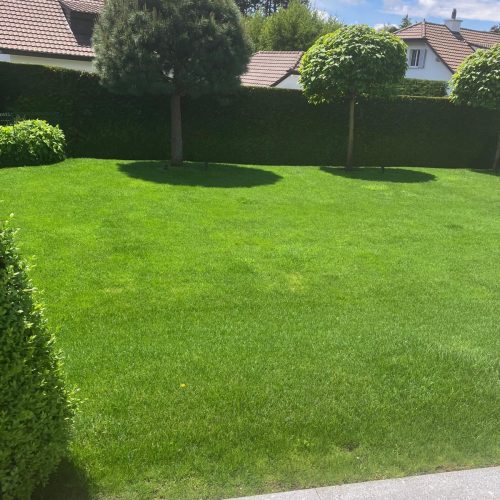 Gazon Débroussaille Désherbage Jardins entretien par rossier paysage