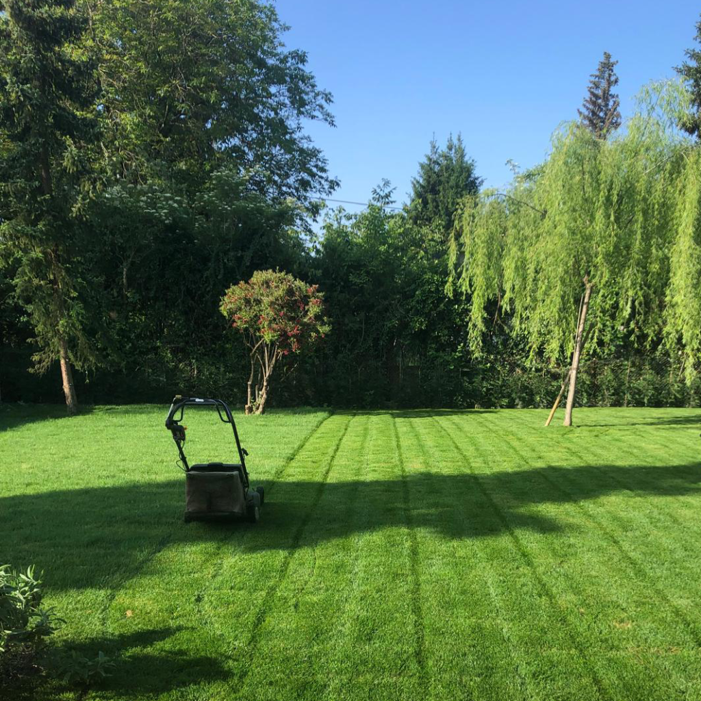 Rossier paysage, votre expert paysagiste dans le canton de vaud et gland Rossier Paysage entretien un gazon